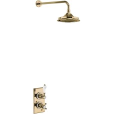 Trent Thermostatic Single Outlet Concealed Shower Valve with Fixed Shower Arm with 9 inch Rose, Gold