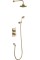 Trent Thermostatic Dual Outlet Concealed Divertor Shower Valve, Fixed Shower Arm, Handset & Holder with Hose with 9 inch Rose, Gold