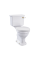 Monobloka tualetes pods bez apmales ar 440mm cisternu ar poda vāku ar lēnās aizvēršanas mehānismu balta krāsa, keramikas WC slazds ar horizontālo izvadu, tualetes birstes turētājs un tualetes ruļļu turētājs (zelts)