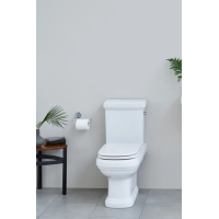 Monobloka pie sienas stiprināms tualetes pods Riviera ar cisternu, balts poda vāks un WC ruļļu turētājs (hroms)